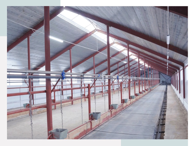 Строительство коровников в Туле от 610 руб.