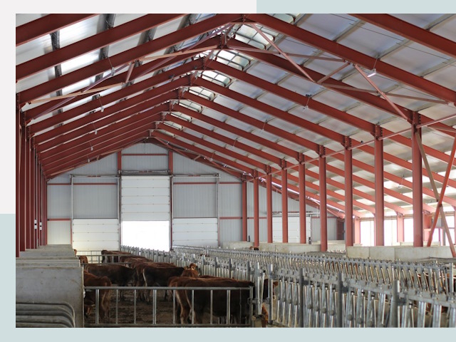 Строительство коровников в Туле