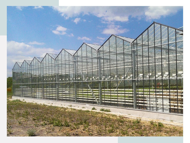 Строительство теплиц в Тула от 610 руб. за м²